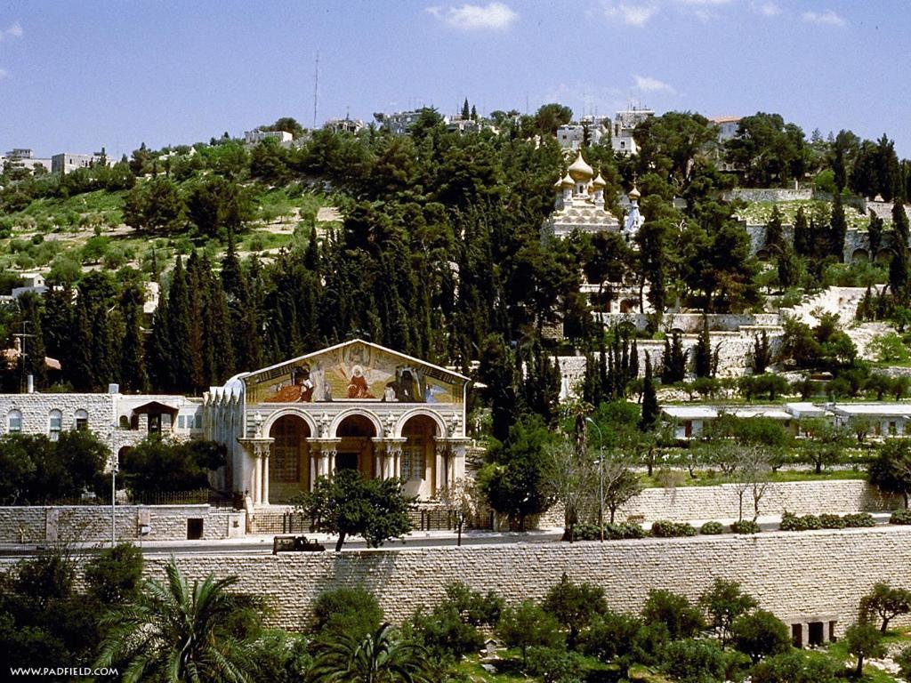 JERUSALEM PANORAMA HOTEL ИЕРУСАЛИМ 2* (Израиль) - от 4756 RUB | NOCHI